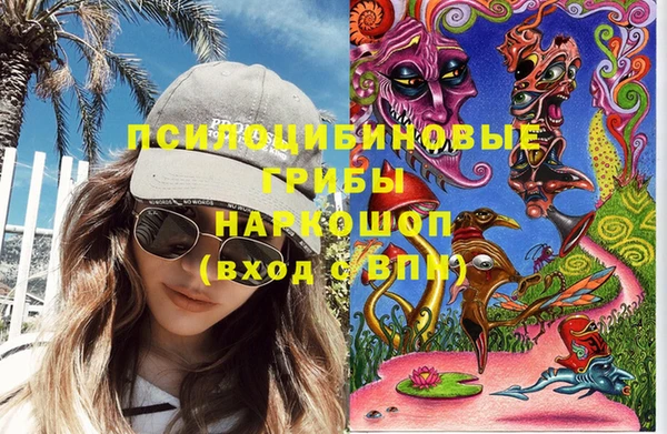 крисы Приозерск